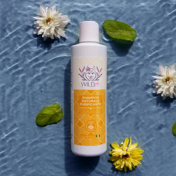 Shampoo naturale purificante