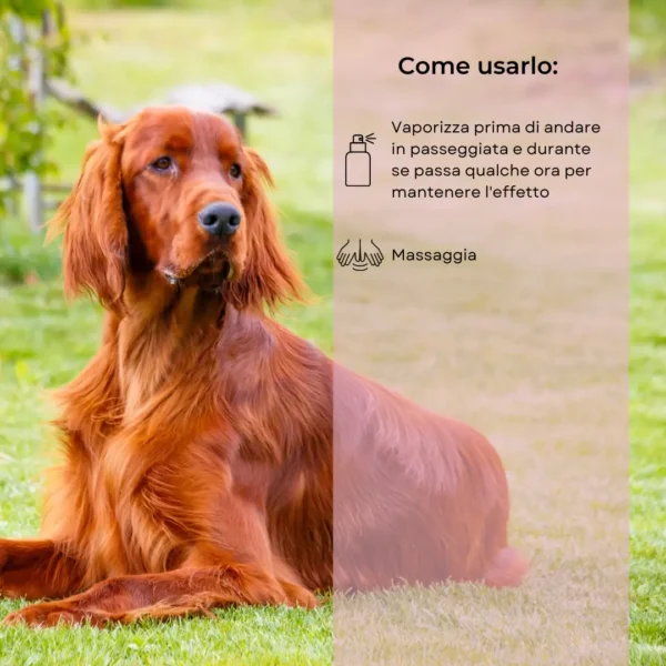 Repellente antiparassitario naturale - immagine 3