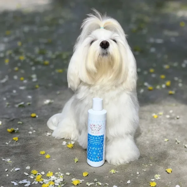 Shampoo blu per manti bianchi - immagine 2